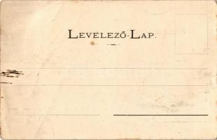 Tapolyhanusfalva, Hanusfalva, Hanusovce nad Toplou; Gróf Dessewffy kastély, belső / castle interior....