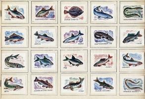 682 darabos szovjet nagysorozat gyufacímke gyűjtemény