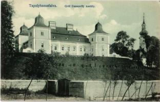 Tapolyhanusfalva, Hanusfalva, Hanusovce nad Toplou; Gróf Dessewffy kastély. Schönberger Adolf kiadása / castle