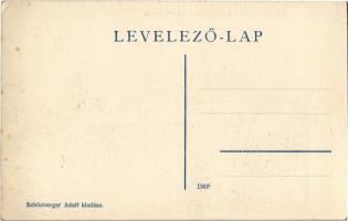 Tapolyhanusfalva, Hanusfalva, Hanusovce nad Toplou; Gróf Dessewffy kastély. Schönberger Adolf kiadás...