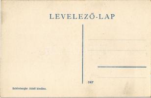 Tapolyhanusfalva, Hanusfalva, Hanusovce nad Toplou; Gróf Dessewffy kastély. Schönberger Adolf kiadás...