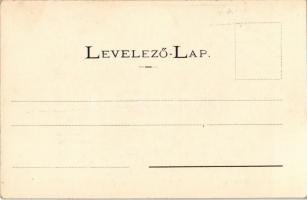 Tapolyhanusfalva, Hanusfalva, Hanusovce nad Toplou; Gróf Dessewffy kastély. Divald Adolf 205./ castl...