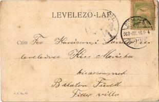 1903 Budapest XII. Zugliget, Normafa (EK)