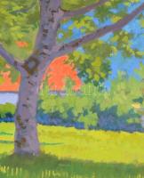 Mátrai Vilmos (1877-1961): Fények a ligetben. Akvarell, papír, jelzett, üvegezett keretben, 29×41 cm