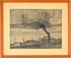 Nyári Lóránt (1928-1982): Ősz a Balatonon. rézkarc, papír, jelzett, üvegezett keretben, 30x38 cm