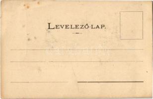 Eperjes, Presov; Gregor Károly és Béla 8 a 6 éves fiúk tandem mutatványa. Gregor Endre kiadása, Diva...