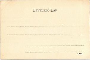 Déva, Déva vára, Városi kisdedóvó, óvoda. Kiadja Hirsch Adolf 245. / Cetatea Deva / castle, nursery