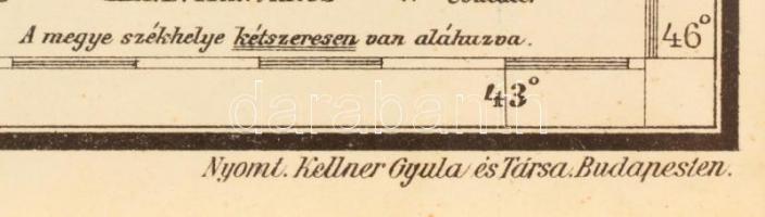 Maros-Torda vármegye közigazgatási térképe (Marosvásárhely), színezett fametszet, paszpartuban, plex...