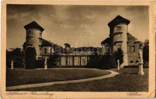1925 Rheinsberg, Schloss / castle (EK)
