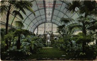 Leipzig, Palmengarten, Inneres der Palmenhalle / palm garden, greenhouse, interior (Rb)