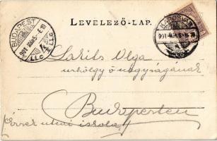 1901 Kaposvár, korcsolyázók a jégpályán télen / winter sport, ice skating people in the rink. photo