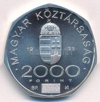 1999. 2000Ft Ag "A 2000. évforduló" T:BU
Adamo EM163