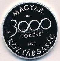 2000. 3000Ft Ag "Veszélyeztetett állatvilág - hód" T:PP Adamo EM165