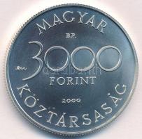 2000. 3000Ft Ag "Veszélyeztetett állatvilág - hód" T:BU Adamo EM165