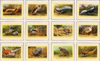 716 darabos vegyes gyufacímke gyűjtemény: Saarvidék, Finnország, Málta, Irzael,  Belgium, Luxemburg