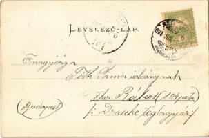 1903 Hévíz, Hévízi rét juhásszal és nyájjal. Mérei Ignácz kiadása 160