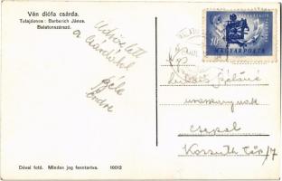 Balatonszárszó, Berberich János Vén Diófa csárdája, mosogató asszonyok. Dévai fotó