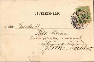 1903 Verőce, Nógrádverőce; Dunasor, villák (EK)