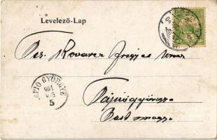 1904 Pöstyén, Piestany; Rév este. A. Bernas kiadása / Ursprung der Quellen / ferry at night (EK)