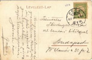 1907 Pécs, Új városháza, Paunz Jakab Fia, Vigan Károly és Dr. Vámos és Füredi üzlete, lovaskocsik, é...