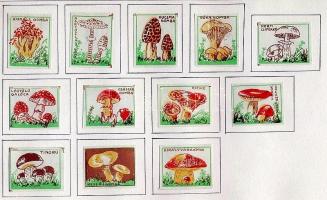 718 darabos magyar gyufacímke motívum gyűjtemény: Kresz, sport, járművek, zászlók