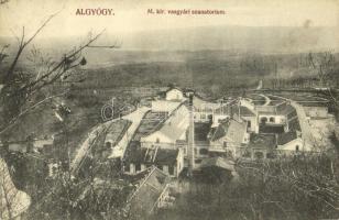 1913 Algyógy, Geoagiu; M. kir. vasgyári szanatórium. Adler fényirda / sanatorium of the iron works