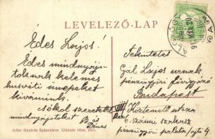 1913 Algyógy, Geoagiu; M. kir. vasgyári szanatórium. Adler fényirda / sanatorium of the iron works