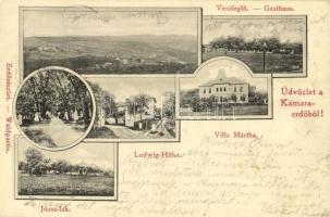 1902 Budapest XI. Kamaraerdő, Vendéglő, Józsa-lak, Villa Mártha, Ludwig-Höhe
