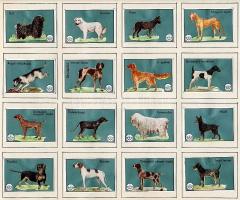 800 darabos magyar gyufacímke gyűjtemény: Vadászati világkiállítás, hídak