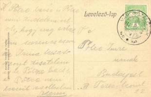 1911 Városszalónak, Stadtschlaining; Baumkirchner kastély, Fő tér, vár. Steiner Ferenc kiadása / Sch...