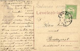 1908 Szinérváralja, Szinyérváralja, Seini; Piac tér. W.L. (?) 2383. / market square