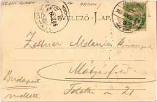 1902 Herkulesfürdő, Herkulesbad, Baile Herculane; látkép, híd, fürdő. Kiadja Emil Jäger / general vi...