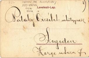 1901 Buziásfürdő, Baile Buzias; Pavillon Restaurant, Graben-Allee, Josefs-Quelle / Étterem, Árok fas...