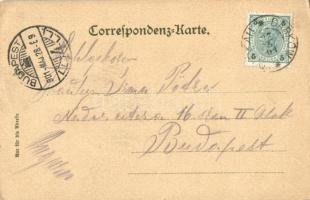 1901 Lázne Darkov, Bad Darkau; Uferpromenade, Dependence I. und II., Kinderheim, Curhaus / port prom...