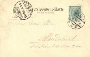 1905 Monte San Vigilio, Vigiljoch (Südtirol); Gruss vom Seehof / hotel and restaurant (EK)