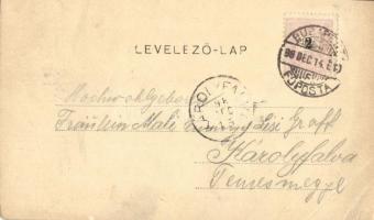 1898 (Vorläufer!) Budapest II. Lipótmező, Hidegkúti út. Cs. és Kir. gyalogsági hadapród iskola, tüze...