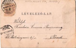 1899 Előpatak, Valcele; sétány, fürdő / spa, baths, promenade (vágott / cut)