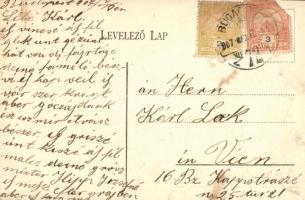 1907 Budapest XI. Kelenföld, Mattoni-féle Erzsébet királyné sósfürdő