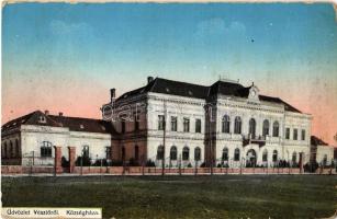1917 Vésztő, Községháza. Putics Testvérek kiadása (Rb)