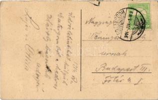 1914 Esztergom, Vártemplom, Bazilika és környéke (Kis-Duna részlet), Bazilika és Víziváros (leporell...