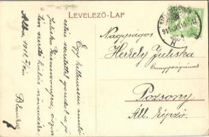 1911 Székesfehérvár, Vármegyei Szent György kórház (EK)