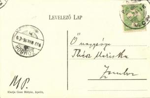 Apatin, Duna part és halászbárka. Gasz Mátyás kiadása / Donauufer mit Fischhalter / Danube, port, fi...