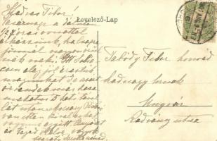 1906 Szliács, Sliac; Fürdőház / spa (fa)