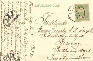 1906 Újlak, Ilok; Fő utca, Duna és vár kolostor / Ulaz u gronji grad, Samostan sa dunava / Danube, c...