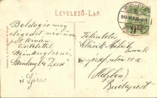 1910 Rónaszék, Rohnen, Costiui (Máramaros, Maramures); Apaffy bánya / mine