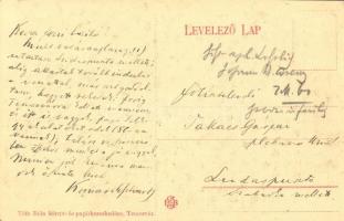 Temesvár, Timisoara; Belváros, zsinagóga a háttérben, várfal. Tóth Béla kiadása / synagogue in the b...