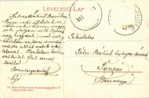 1908 Újvidék, Novi Sad; Duna utca, Ivkovits Milán és Dietzger fiai üzlete, piac. Klein Vilmos bazár ...