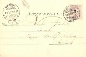 1898 (Vorläufer!) Szeged, Széchenyi tér, Híd utca, városháza, MÁV palota, Városi színház, Közúti vas...