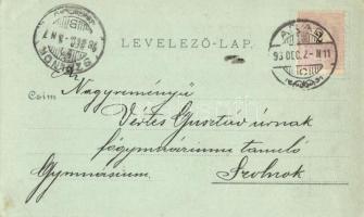 1898 (Vorläufer!) Arad, Minorita templom, Lyceum, vár főkapuja, Maros part, Arad-Csanádi Egyesült Va...