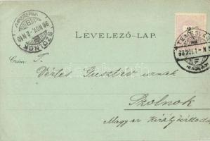 1898 (Vorläufer!) Temesvár, Timisoara; színház, Józsefvárosi zárda, Gyárváros, Kossuth, Jenő herceg ...